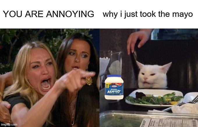 lol | YOU ARE ANNOYING; why i just took the mayo | image tagged in memes,woman yelling at cat | made w/ Imgflip meme maker