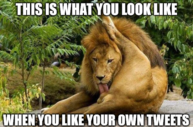 lion licking balls | THIS IS WHAT YOU LOOK LIKE; WHEN YOU LIKE YOUR OWN TWEETS | image tagged in lion licking balls | made w/ Imgflip meme maker