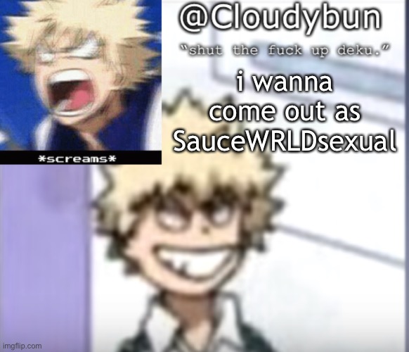 e | i wanna come out as SauceWRLDsexual | image tagged in bakuhoe | made w/ Imgflip meme maker