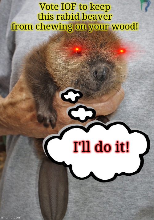From the desk of playboi | Vote IOF to keep this rabid beaver from chewing on your wood! I'll do it! | image tagged in vote iof,attack,ads | made w/ Imgflip meme maker