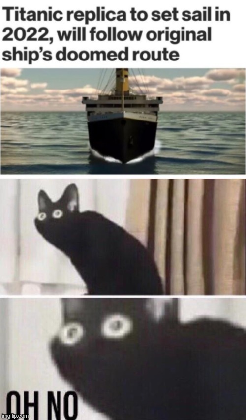 Titanic II | image tagged in oh no cat,titanic,funny,memes,oh wow are you actually reading these tags | made w/ Imgflip meme maker