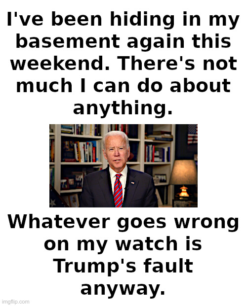 Joe Biden doing what he does best | image tagged in biden,clueless,zelensky,brave,putin,waiting | made w/ Imgflip meme maker