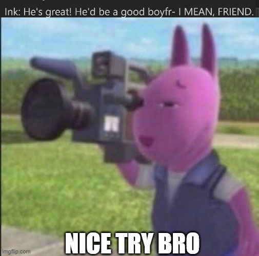 Got you in 4k, idiot | NICE TRY BRO | image tagged in caught in 4k | made w/ Imgflip meme maker