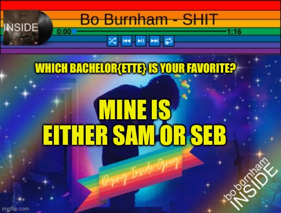 I also really like Leah | WHICH BACHELOR{ETTE} IS YOUR FAVORITE? MINE IS EITHER SAM OR SEB | image tagged in template,stardewvalley,sdv | made w/ Imgflip meme maker