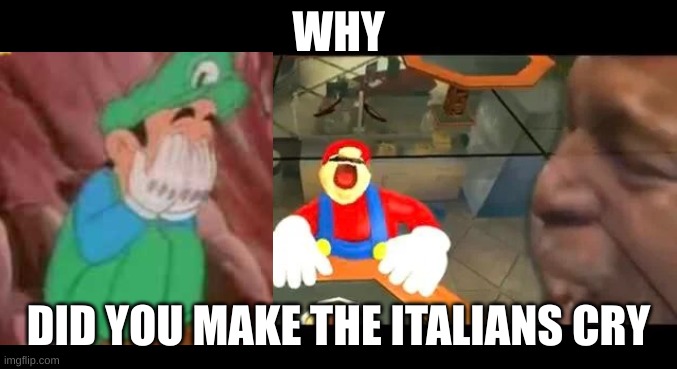 Crying Mario | WHY DID YOU MAKE THE ITALIANS CRY | image tagged in crying mario | made w/ Imgflip meme maker