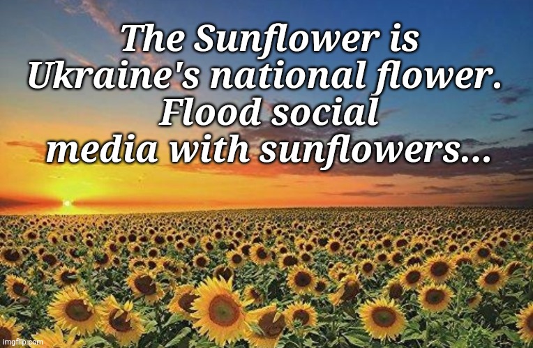 Sunflowers | The Sunflower is Ukraine's national flower. 
Flood social media with sunflowers... | image tagged in ukraine | made w/ Imgflip meme maker