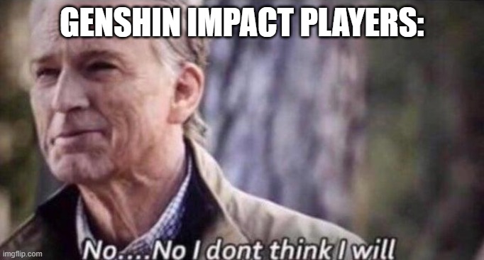 no i don't think i will | GENSHIN IMPACT PLAYERS: | image tagged in no i don't think i will | made w/ Imgflip meme maker