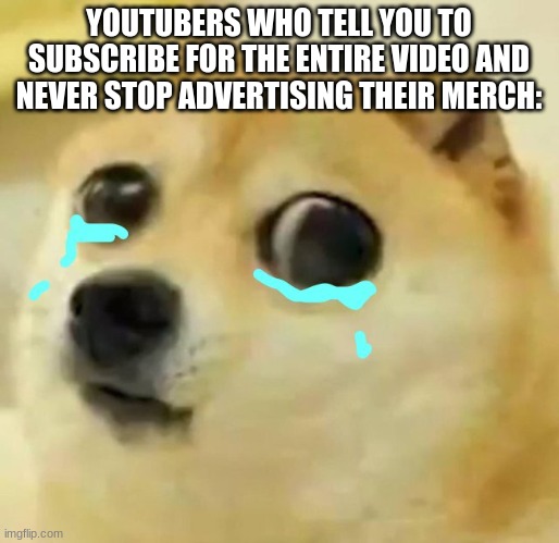 big eyes crying doge | YOUTUBERS WHO TELL YOU TO SUBSCRIBE FOR THE ENTIRE VIDEO AND NEVER STOP ADVERTISING THEIR MERCH: | image tagged in big eyes crying doge | made w/ Imgflip meme maker