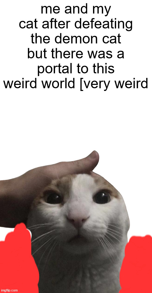 me and my cat after defeating the demon cat but there was a portal to this weird world [very weird | made w/ Imgflip meme maker