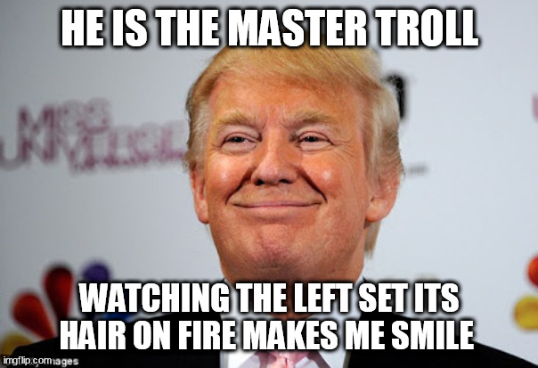 Donald trump approves | HE IS THE MASTER TROLL; WATCHING THE LEFT SET ITS HAIR ON FIRE MAKES ME SMILE | image tagged in donald trump approves | made w/ Imgflip meme maker
