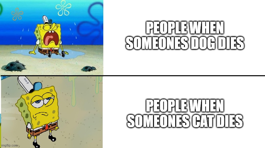 spongebob crying vs meh meme | PEOPLE WHEN SOMEONES DOG DIES; PEOPLE WHEN SOMEONES CAT DIES | image tagged in spongebob crying vs meh meme,memes,cats,dogs,spongebob,why are you reading this | made w/ Imgflip meme maker