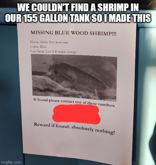 WE COULDN'T FIND A SHRIMP IN OUR 155 GALLON TANK SO I MADE THIS | made w/ Imgflip meme maker