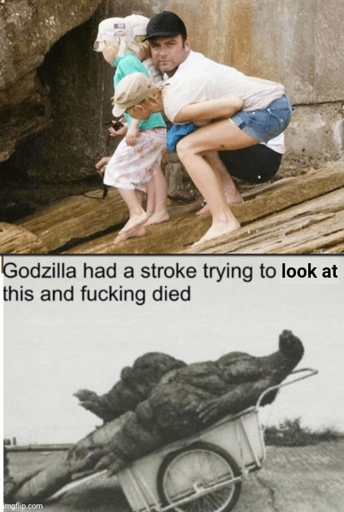 THEY KILLED GODZILLA | look at | image tagged in godzilla,optical illusion,what the fuck | made w/ Imgflip meme maker