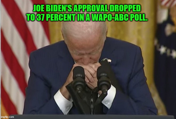 It turns out the ‘most popular’ president in US history isn’t so popular. | JOE BIDEN’S APPROVAL DROPPED TO 37 PERCENT IN A WAPO-ABC POLL. | image tagged in surprise,joe biden,unpopular | made w/ Imgflip meme maker