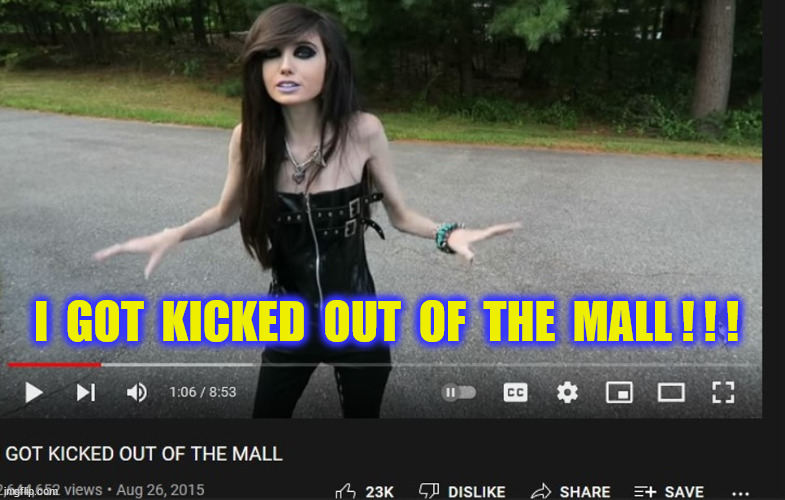 I  GOT  KICKED  OUT  OF  THE  MALL ! ! ! | made w/ Imgflip meme maker