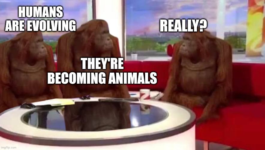 Monkeys discussing humans' actions | HUMANS ARE EVOLVING; REALLY? THEY'RE BECOMING ANIMALS | image tagged in where monkey,humans,dark humor | made w/ Imgflip meme maker