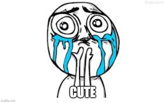 Crying Because Of Cute Meme | CUTE | image tagged in memes,crying because of cute | made w/ Imgflip meme maker