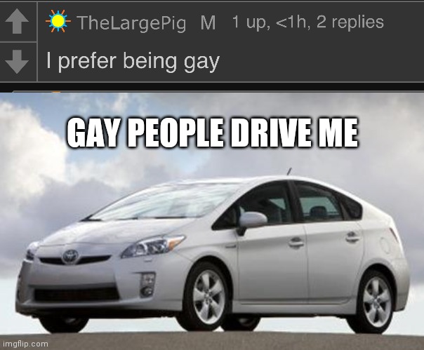 Hand me some arson equipment so i can burn the car | GAY PEOPLE DRIVE ME | image tagged in thelargepig gay confirmed,prius | made w/ Imgflip meme maker