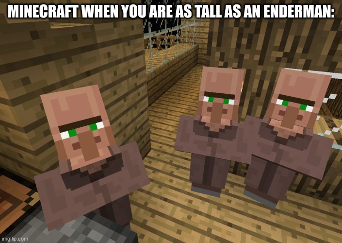 they better look up | MINECRAFT WHEN YOU ARE AS TALL AS AN ENDERMAN: | image tagged in minecraft villagers | made w/ Imgflip meme maker