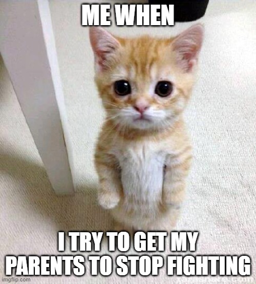 stop it i dont like it | ME WHEN; I TRY TO GET MY PARENTS TO STOP FIGHTING | image tagged in memes,cute cat | made w/ Imgflip meme maker