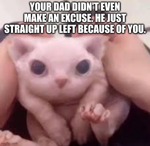 Scrunched Bingus | YOUR DAD DIDN'T EVEN MAKE AN EXCUSE. HE JUST STRAIGHT UP LEFT BECAUSE OF YOU. | image tagged in scrunched bingus | made w/ Imgflip meme maker