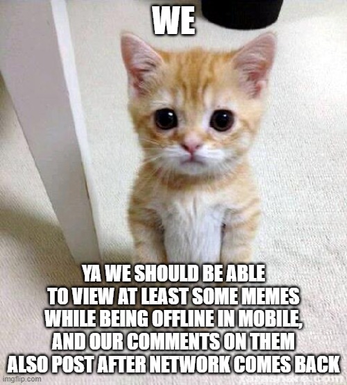 i would like that =) | WE; YA WE SHOULD BE ABLE TO VIEW AT LEAST SOME MEMES WHILE BEING OFFLINE IN MOBILE, AND OUR COMMENTS ON THEM ALSO POST AFTER NETWORK COMES BACK | image tagged in memes,cute cat | made w/ Imgflip meme maker