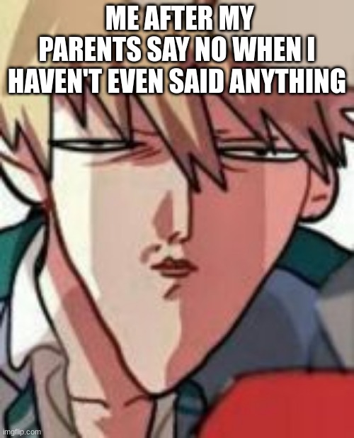 Why just why | ME AFTER MY PARENTS SAY NO WHEN I HAVEN'T EVEN SAID ANYTHING | image tagged in bakugo wtf | made w/ Imgflip meme maker