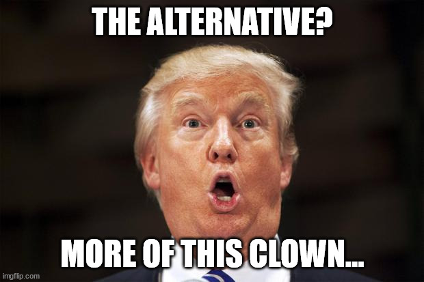 Trump Stupid Face | THE ALTERNATIVE? MORE OF THIS CLOWN... | image tagged in trump stupid face | made w/ Imgflip meme maker