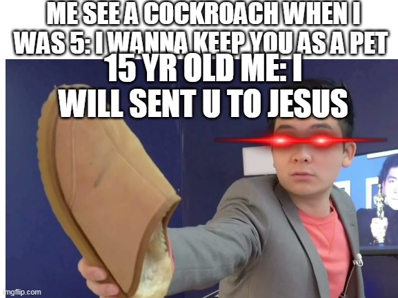 cockroach | ME SEE A COCKROACH WHEN I WAS 5: I WANNA KEEP YOU AS A PET; 15 YR OLD ME: I WILL SENT U TO JESUS | image tagged in funny | made w/ Imgflip meme maker