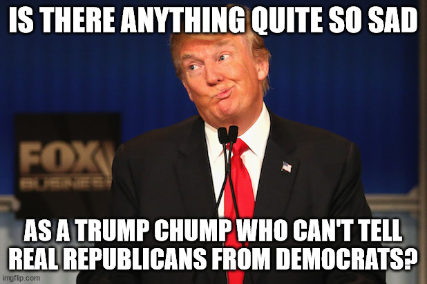 Trump confused | IS THERE ANYTHING QUITE SO SAD; AS A TRUMP CHUMP WHO CAN'T TELL
REAL REPUBLICANS FROM DEMOCRATS? | image tagged in trump confused | made w/ Imgflip meme maker