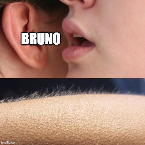 2021 was hard on brunos everywhere | BRUNO | image tagged in whisper and goosebumps,encanto,encanto meme,we don't talk about bruno,bruno | made w/ Imgflip meme maker