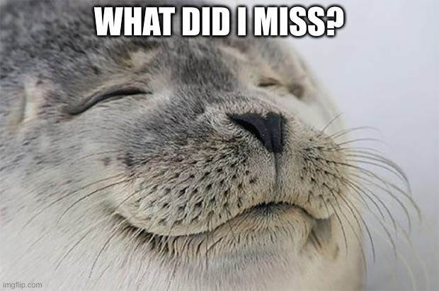 Satisfied Seal | WHAT DID I MISS? | image tagged in memes,satisfied seal | made w/ Imgflip meme maker
