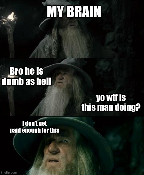 describe yourself in a meme | MY BRAIN; Bro he is dumb as hell; yo wtf is this man doing? I don't get paid enough for this | image tagged in memes,confused gandalf | made w/ Imgflip meme maker