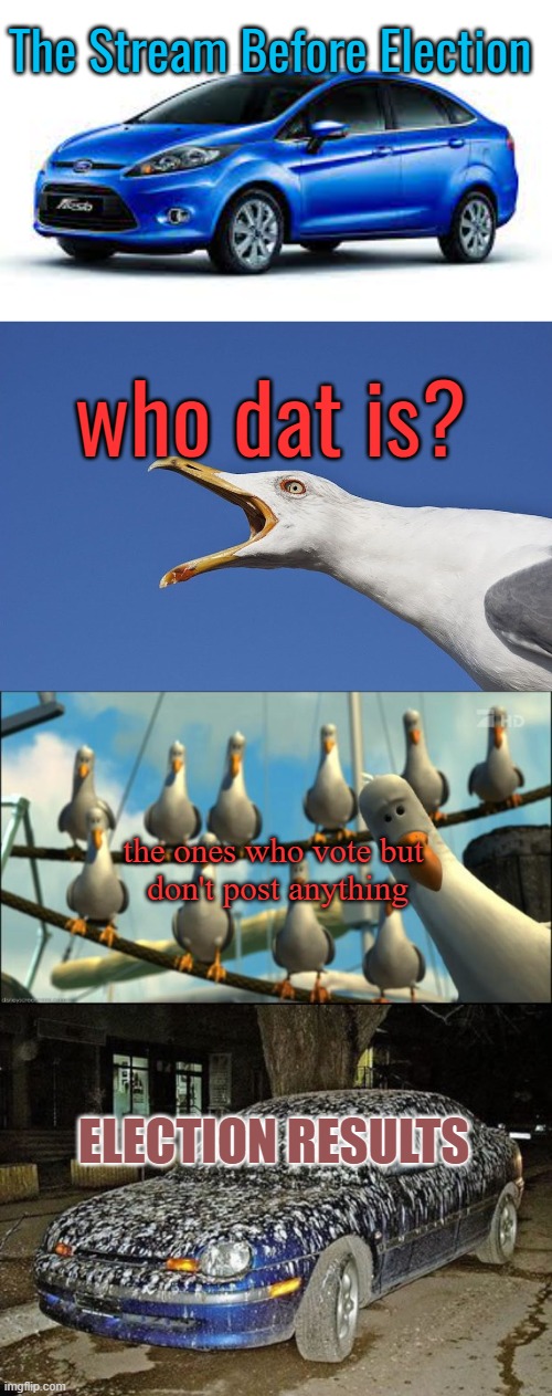 It Sucks Being an Optimist | The Stream Before Election; who dat is? the ones who vote but 
don't post anything; ELECTION RESULTS | image tagged in sea gull,nemo seagulls mine | made w/ Imgflip meme maker