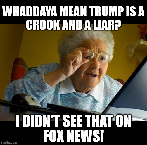 confused old lady | WHADDAYA MEAN TRUMP IS A
CROOK AND A LIAR? I DIDN'T SEE THAT ON
FOX NEWS! | image tagged in confused old lady | made w/ Imgflip meme maker