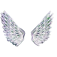 High Quality Transparent wings Blank Meme Template