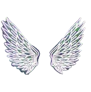 Transparent wings Blank Meme Template