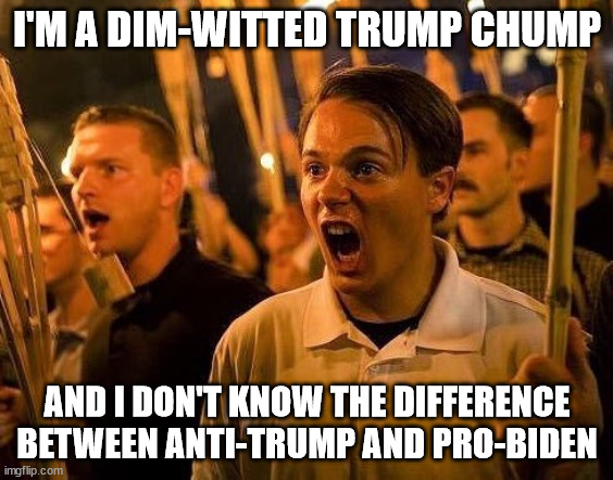 Triggered neo nazi | I'M A DIM-WITTED TRUMP CHUMP; AND I DON'T KNOW THE DIFFERENCE
BETWEEN ANTI-TRUMP AND PRO-BIDEN | image tagged in triggered neo nazi | made w/ Imgflip meme maker