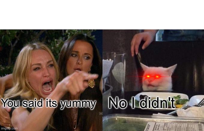 Woman Yelling At Cat | No I didn't; You said its yummy | image tagged in memes,woman yelling at cat | made w/ Imgflip meme maker