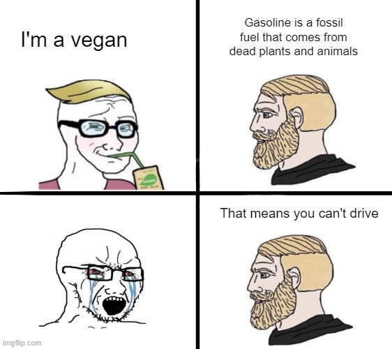 I'd offer you a ride, but...well, you know... | Gasoline is a fossil fuel that comes from dead plants and animals; I'm a vegan; That means you can't drive | image tagged in vegan | made w/ Imgflip meme maker