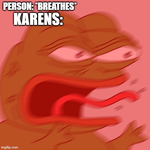 ah Karens |  PERSON: *BREATHES*; KARENS: | image tagged in reeeeeeeeeeeeeeeeeeeeee | made w/ Imgflip meme maker
