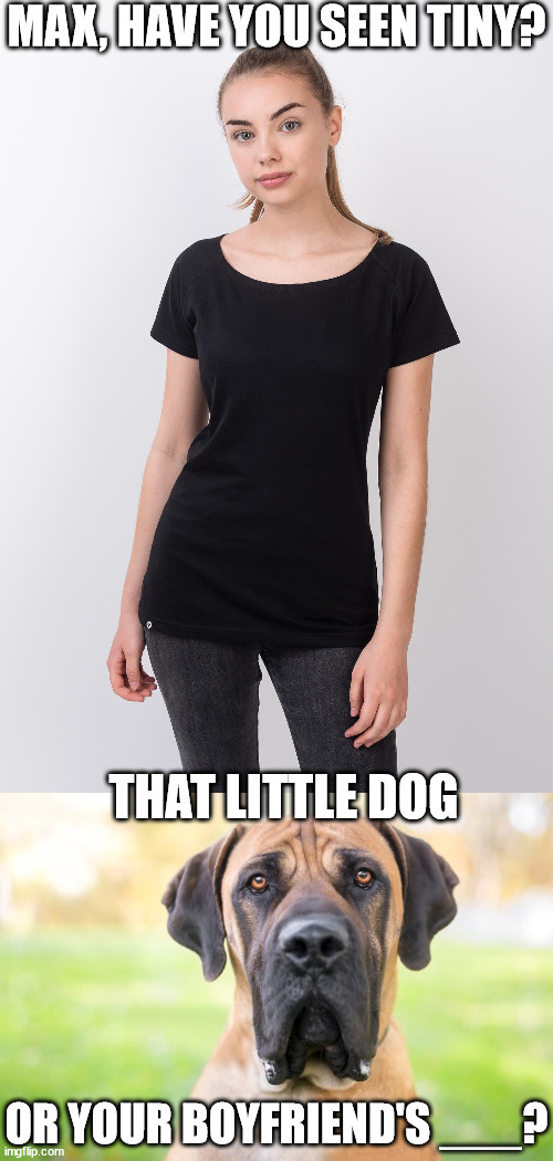 MAX, HAVE YOU SEEN TINY? THAT LITTLE DOG OR YOUR BOYFRIEND'S ___? | made w/ Imgflip meme maker
