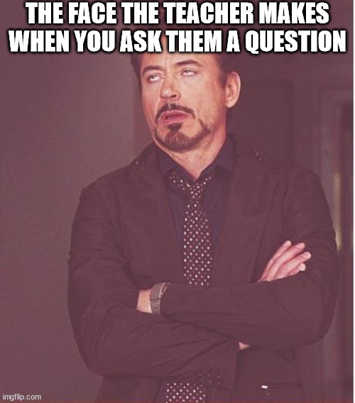 true? | THE FACE THE TEACHER MAKES WHEN YOU ASK THEM A QUESTION | image tagged in memes,face you make robert downey jr,funny,teacher meme,not a gif | made w/ Imgflip meme maker
