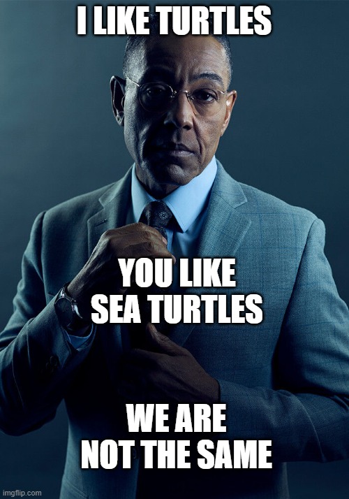 I like turtles | I LIKE TURTLES; YOU LIKE SEA TURTLES; WE ARE NOT THE SAME | image tagged in gus fring we are not the same,i like turtles,memes | made w/ Imgflip meme maker
