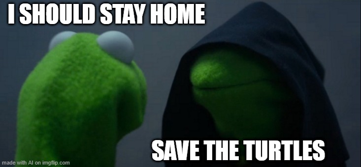 Evil Kermit | I SHOULD STAY HOME; SAVE THE TURTLES | image tagged in memes,evil kermit | made w/ Imgflip meme maker