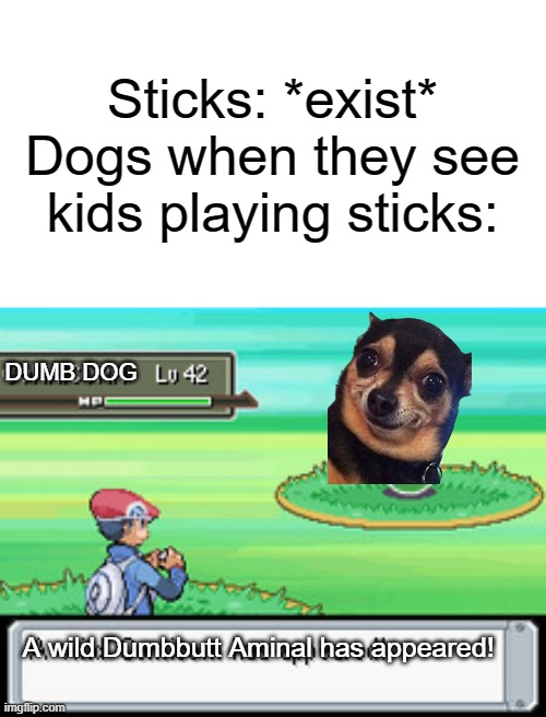 dogs when they see those sticks | Sticks: *exist*
Dogs when they see kids playing sticks:; DUMB DOG; A wild Dumbbutt Aminal has appeared! | image tagged in dumb dog,stick | made w/ Imgflip meme maker