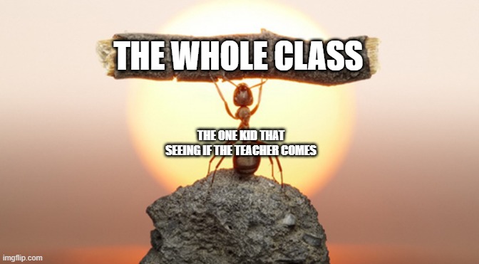 Heavy Lifting Ant | THE WHOLE CLASS; THE ONE KID THAT SEEING IF THE TEACHER COMES | image tagged in heavy lifting ant,meme,img | made w/ Imgflip meme maker