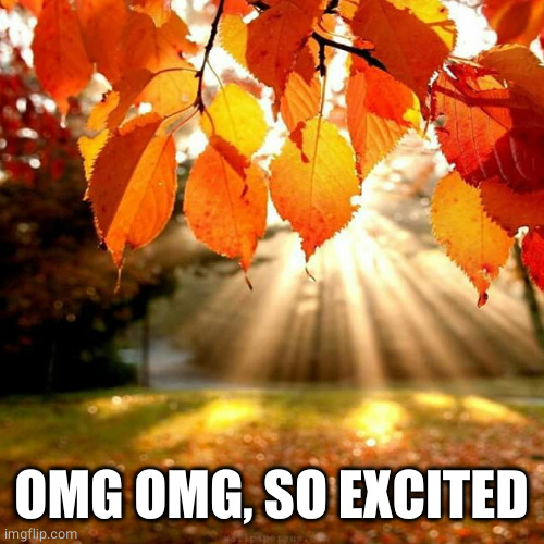 Fall leaves  | OMG OMG, SO EXCITED | image tagged in fall leaves | made w/ Imgflip meme maker