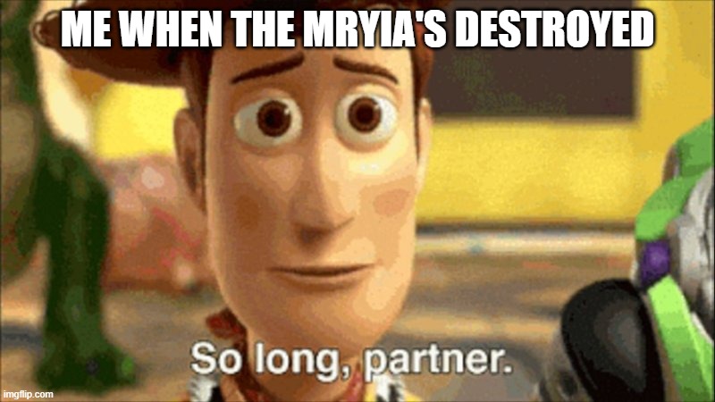Mryia | ME WHEN THE MRYIA'S DESTROYED | image tagged in so long partner | made w/ Imgflip meme maker