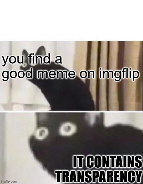 Uh | you find a good meme on imgflip; IT CONTAINS TRANSPARENCY | image tagged in oh no black cat | made w/ Imgflip meme maker